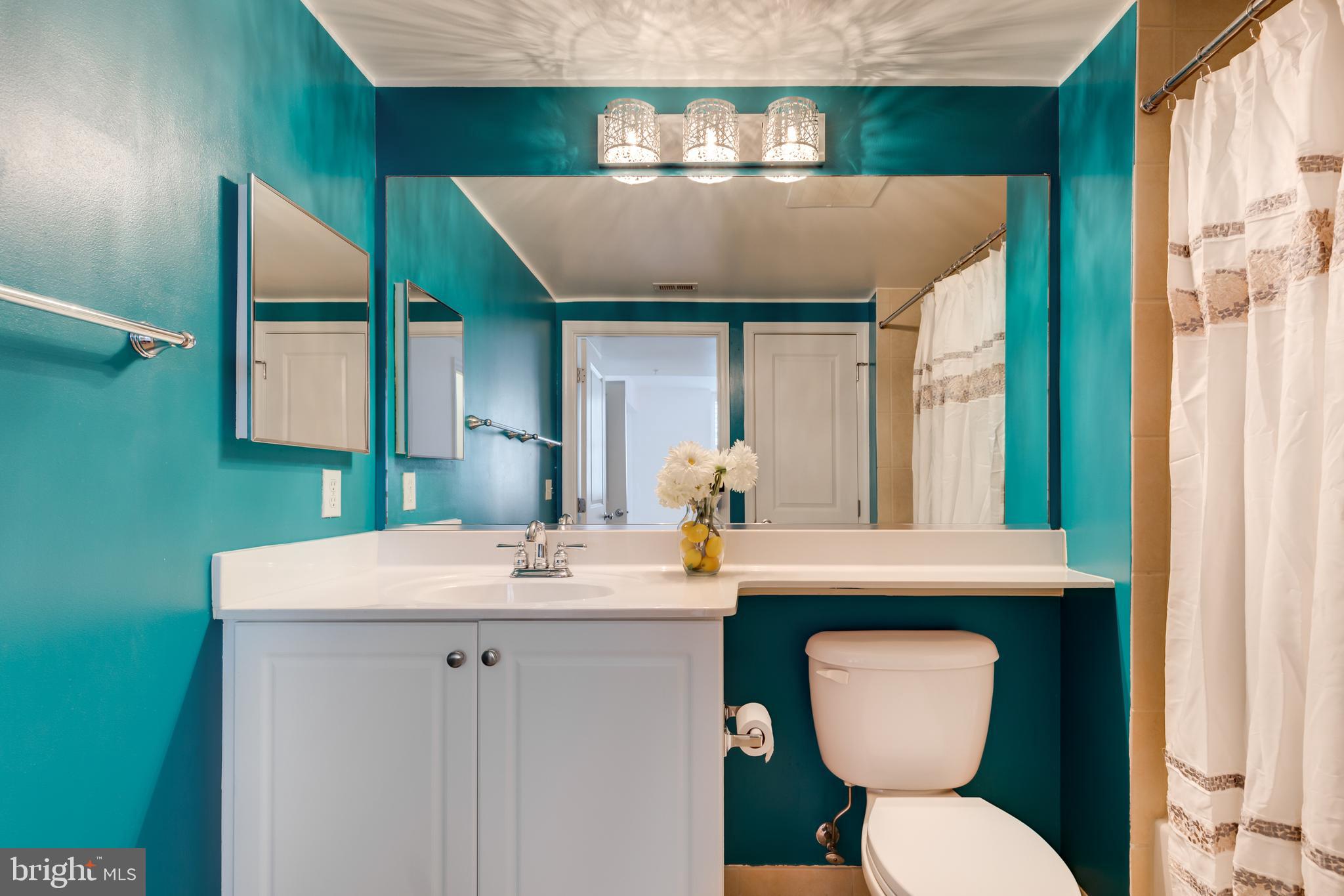 851 North Glebe Road, Unit 1020 Arlington, VA 22203 - Photo 38 of 52 Bathroom