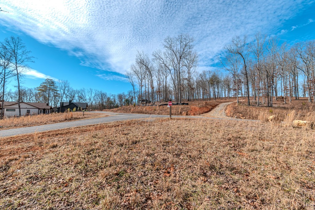 Lot 163 Ridge Drive Blue Ridge, GA 30513 - Photo 13 of 24 Gallery Image 13