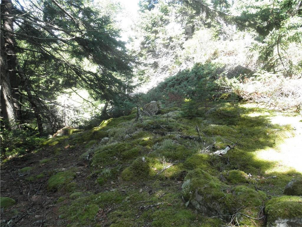 2 Ritz Road Vinalhaven, ME 04863 - Photo 3 of 19 Photo