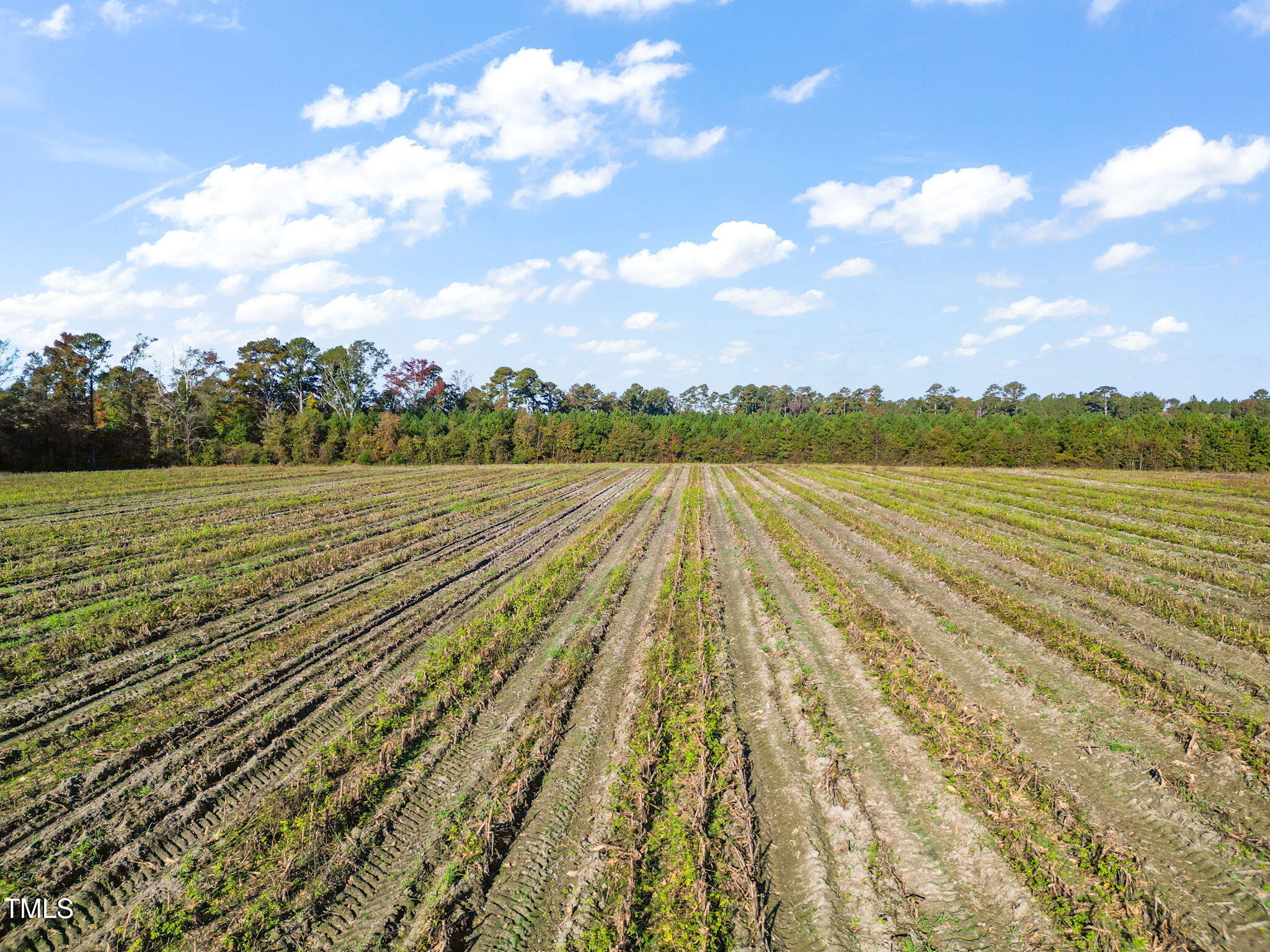 0 Brogden Road Smithfield, NC 27577 - Photo 13 of 13 a view of an ocean