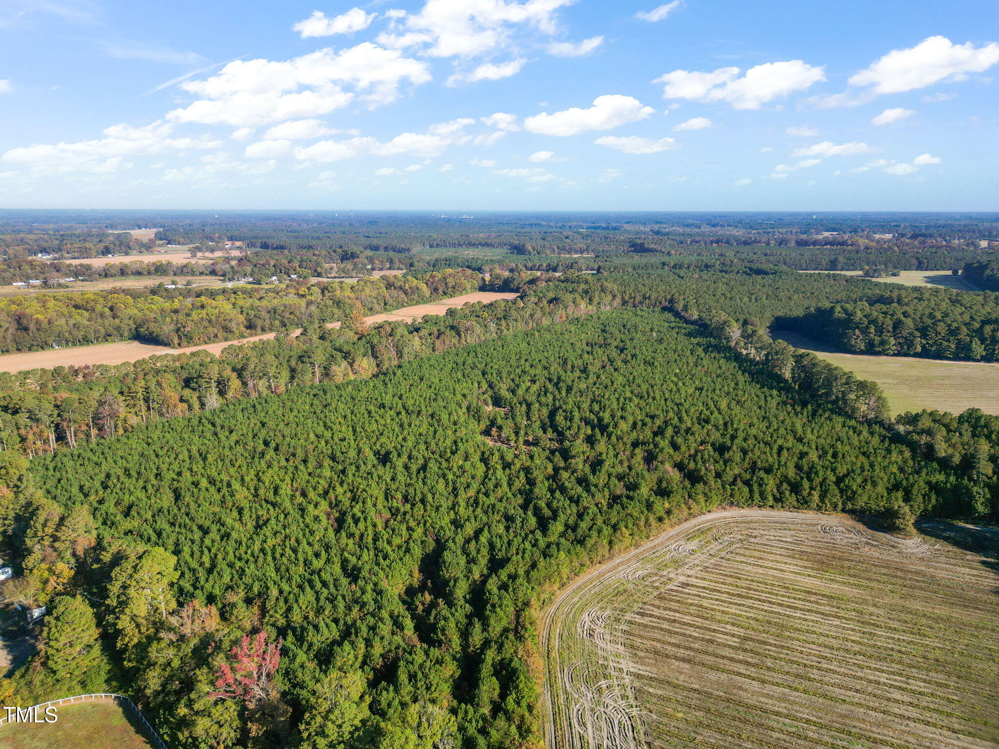 0 Brogden Road Smithfield, NC 27577 - Photo 8 of 13 a view of a yard with an outdoor space
