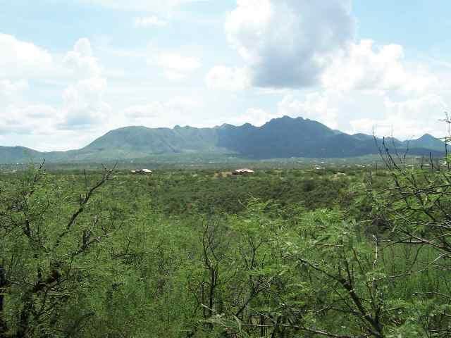 2035 Bowers Court Rio Rico, AZ 85648 - Photo 7 of 8
