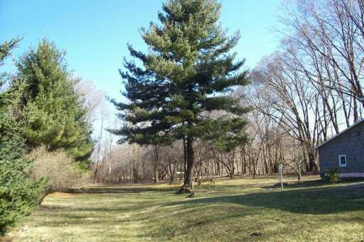 1122 Napoleon Road Jackson, MI 49201 - Photo 2 of 2 Photo 2