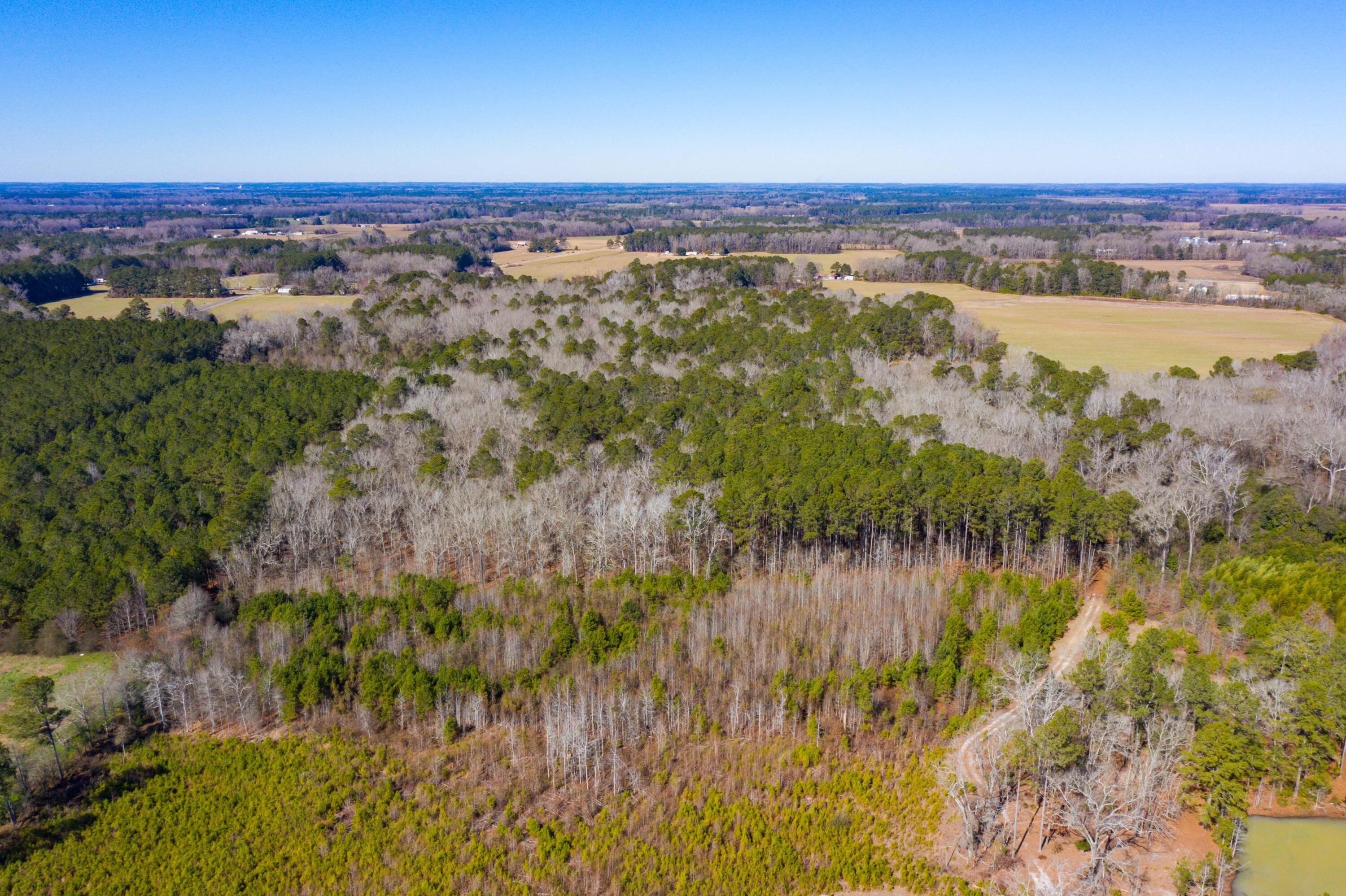 0 Altvater Road Elloree, SC 29047 - Photo 6 of 13 DJI_0017