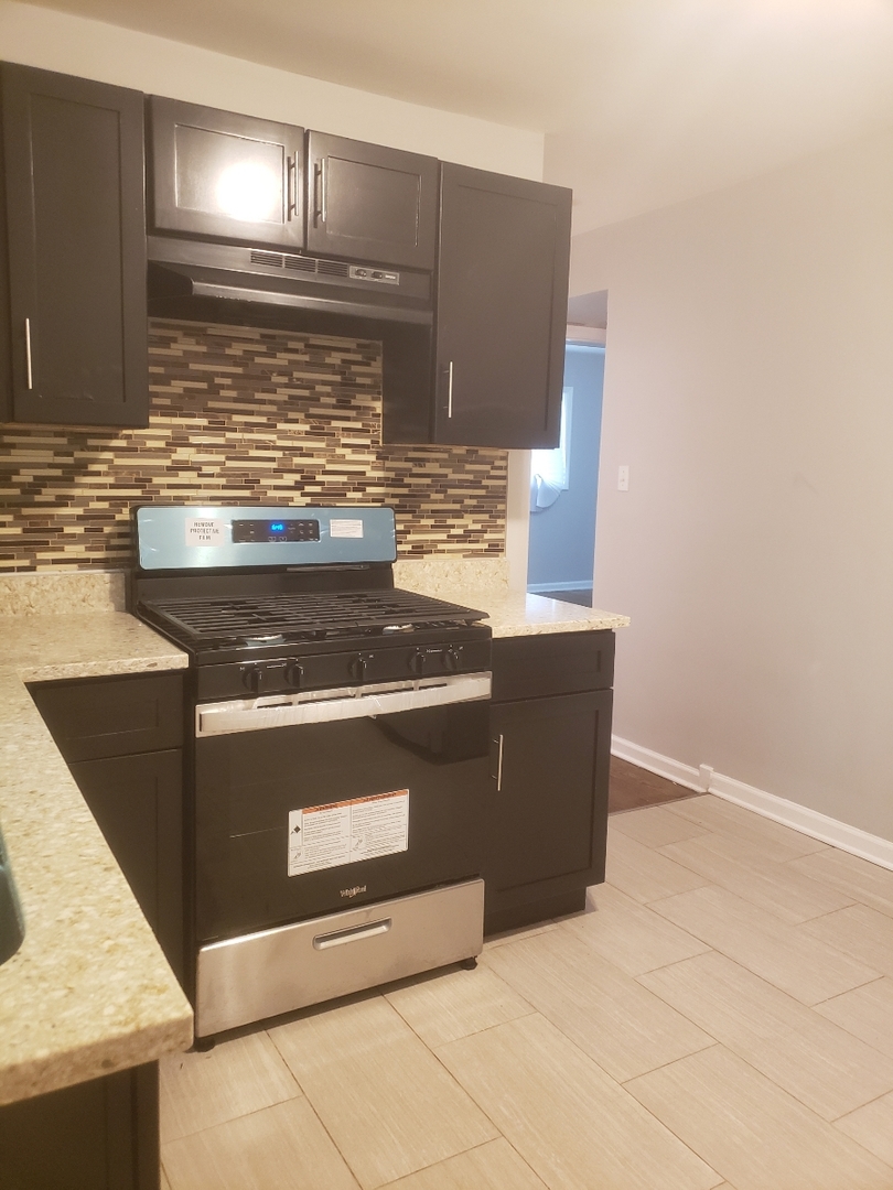 1061 East 80th Street, Unit 2N Chicago, IL 60619 - Photo 3 of 8 a stove top oven sitting inside of a kitchen