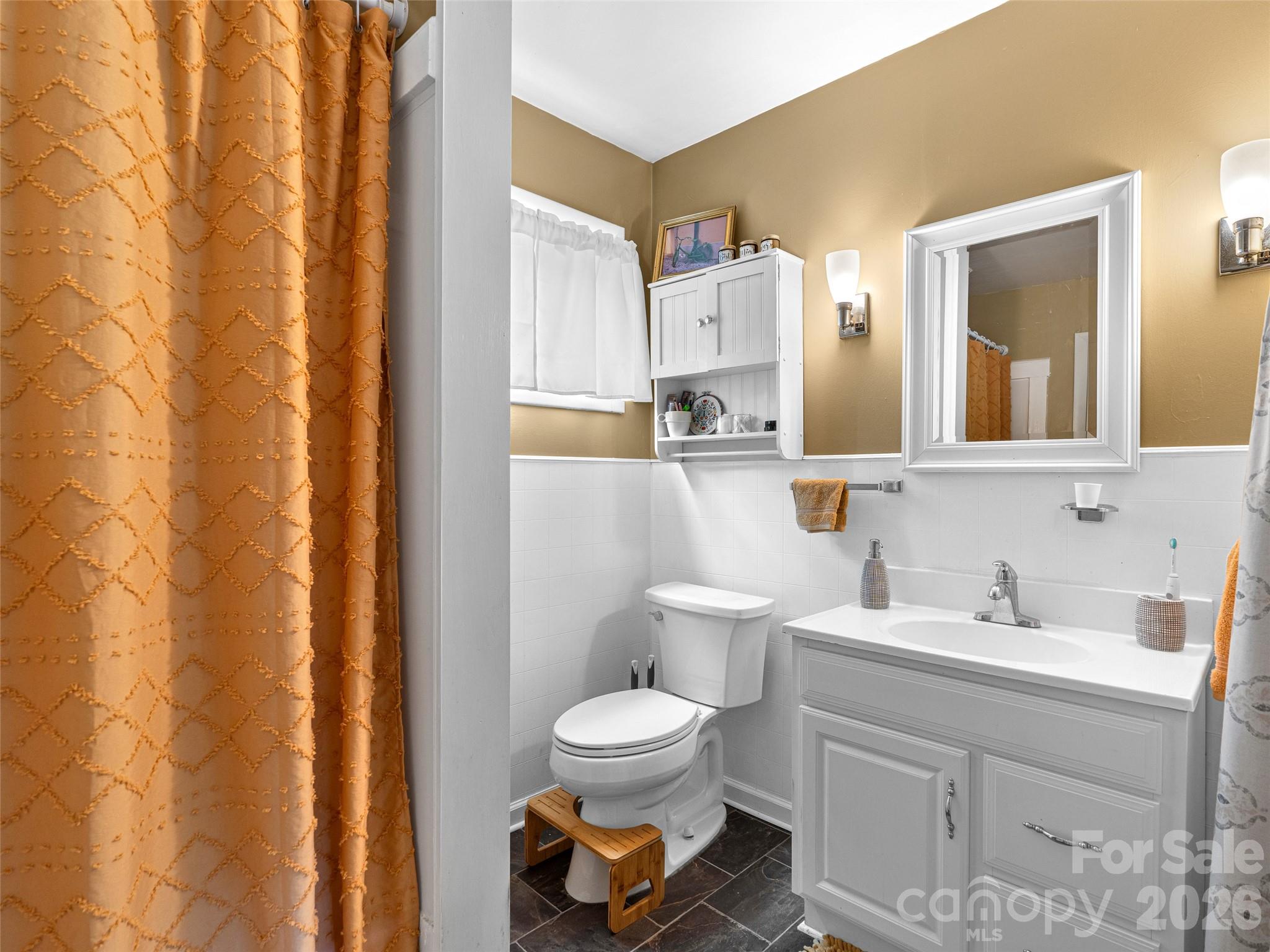 686 New Haw Creek Road Asheville, NC 28805 - Photo 42 of 47 a bathroom with a toilet a sink and a mirror