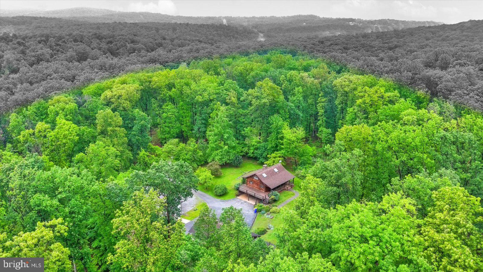 540 Bremer Road Dover, PA 17315 - Photo 59 of 63 a view of a house with a lush green forest