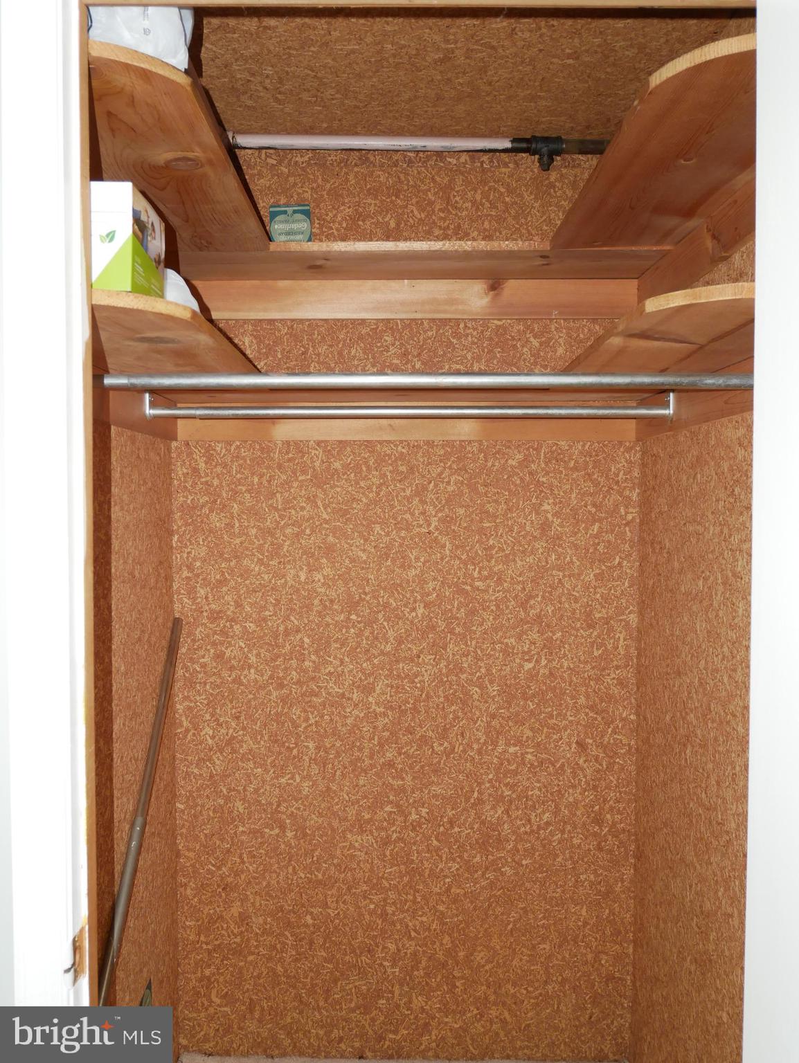 1805 Arcola Avenue, Unit A Silver Spring, MD 20902 - Photo 22 of 31 Inside Cedar Lined Walk-in Closet