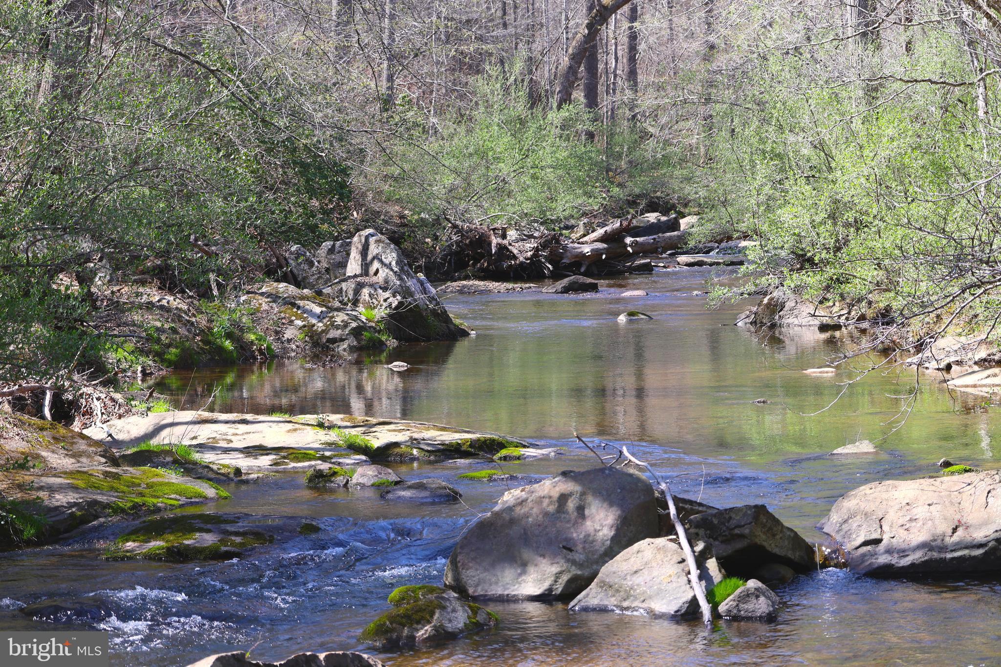 59 Hunters Road Woodville, VA 22749 - Photo 12 of 103 2000'+ of river frontage on the Covington River