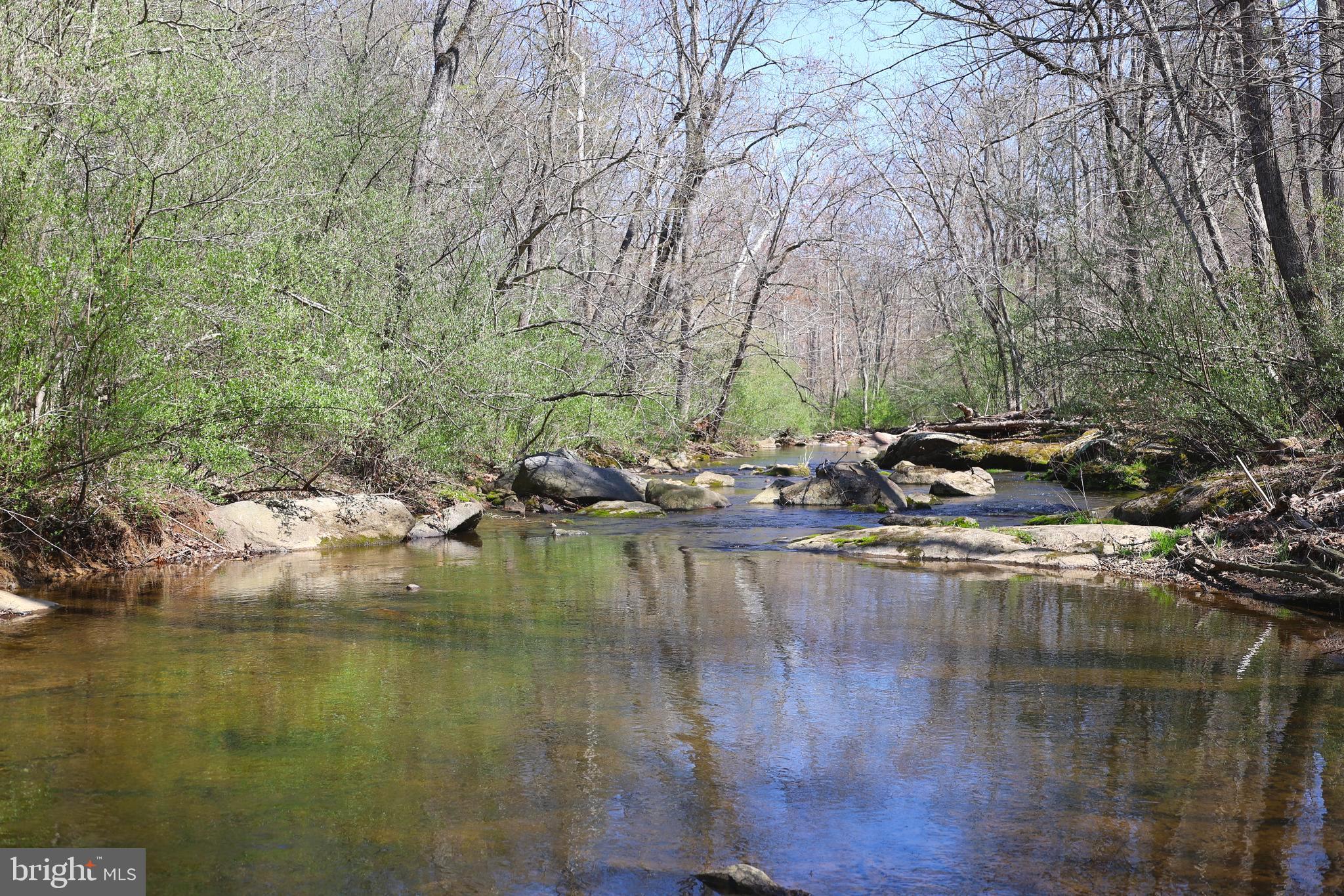 59 Hunters Road Woodville, VA 22749 - Photo 13 of 103 2000'+ of river frontage on the Covington River