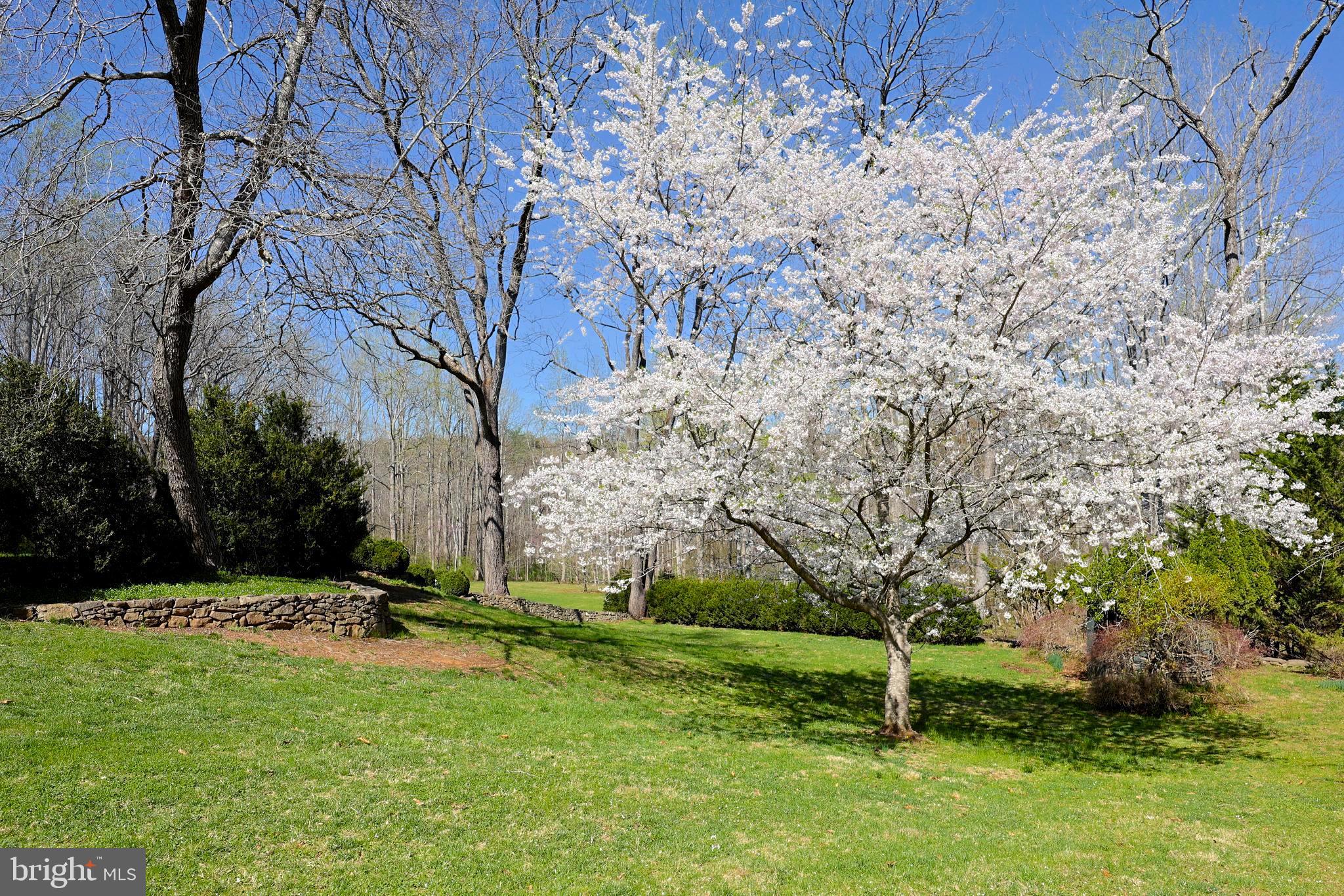 59 Hunters Road Woodville, VA 22749 - Photo 15 of 103 Gallery Image 15