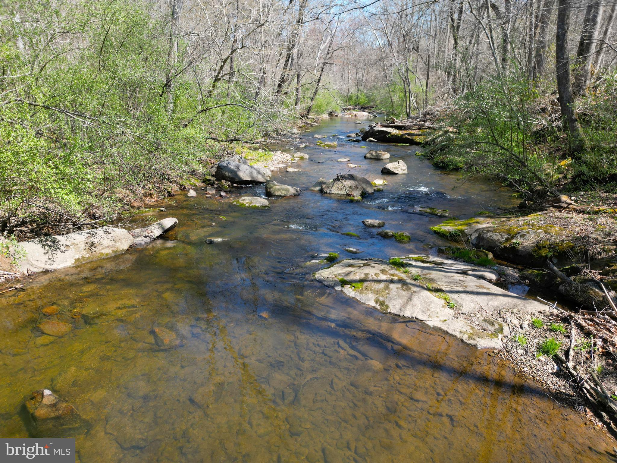 59 Hunters Road Woodville, VA 22749 - Photo 29 of 103 2000'+ of river frontage on the Covington River
