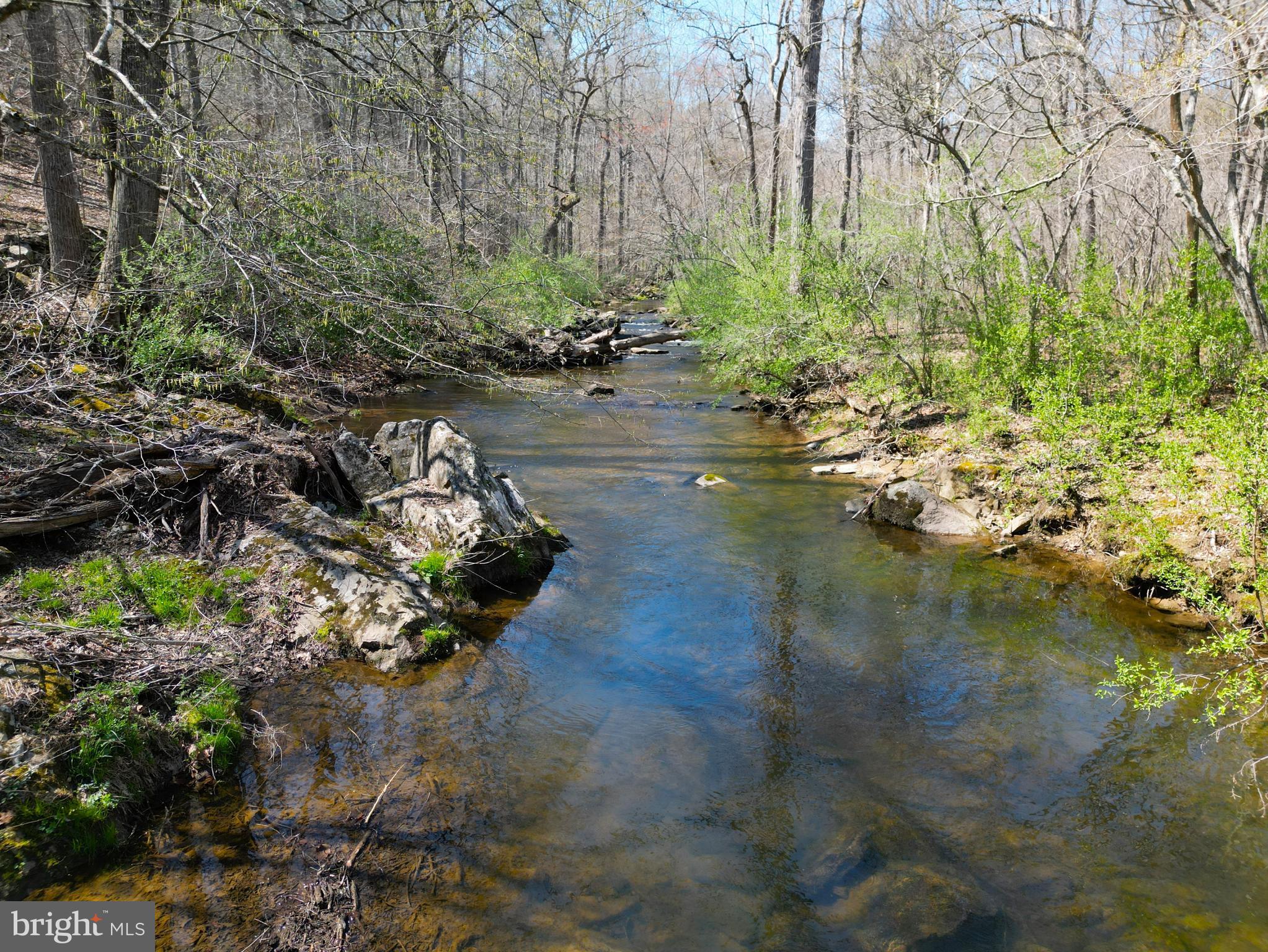 59 Hunters Road Woodville, VA 22749 - Photo 30 of 103 2000'+ of river frontage on the Covington River