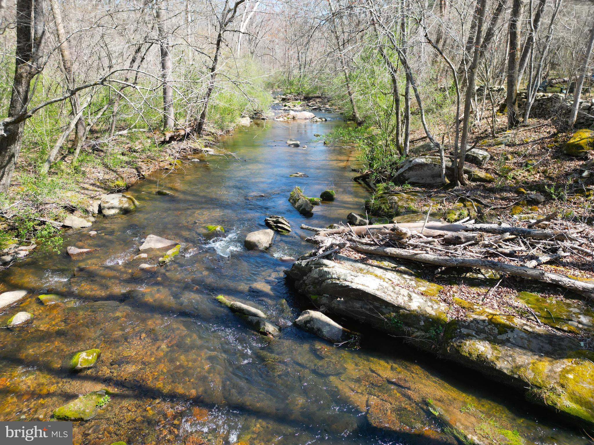 59 Hunters Road Woodville, VA 22749 - Photo 32 of 103 2000'+ of river frontage on the Covington River