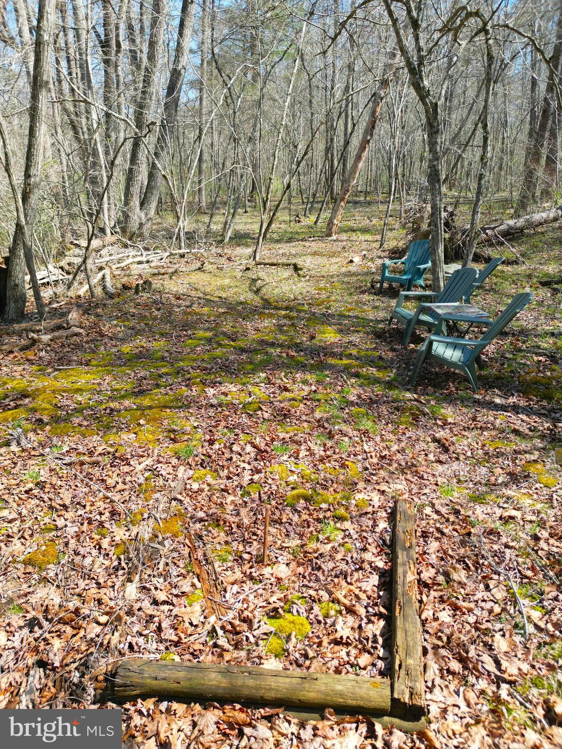59 Hunters Road Woodville, VA 22749 - Photo 85 of 103 Horseshoe pit next to the river