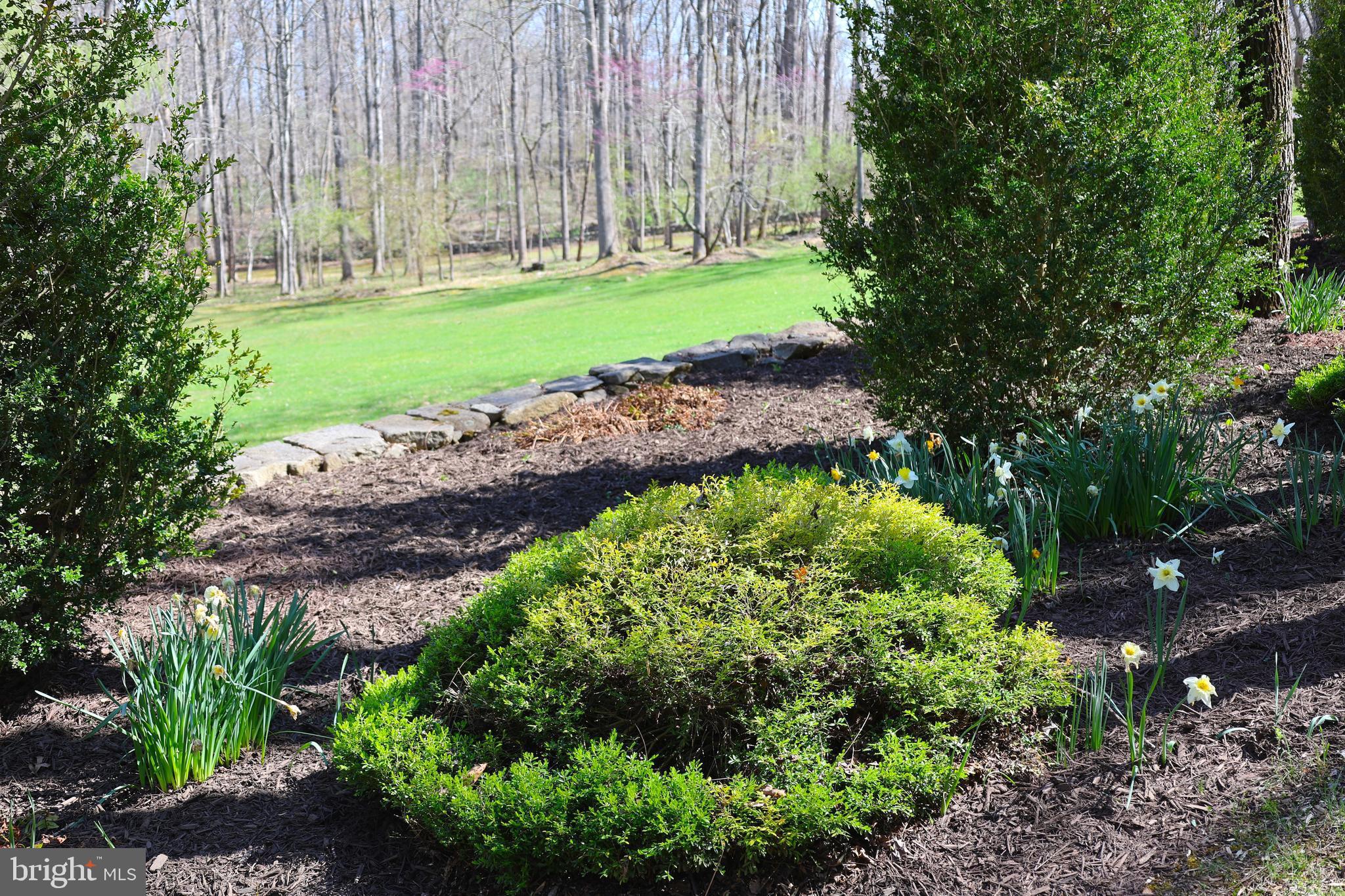 59 Hunters Road Woodville, VA 22749 - Photo 92 of 103 Gallery Image 92