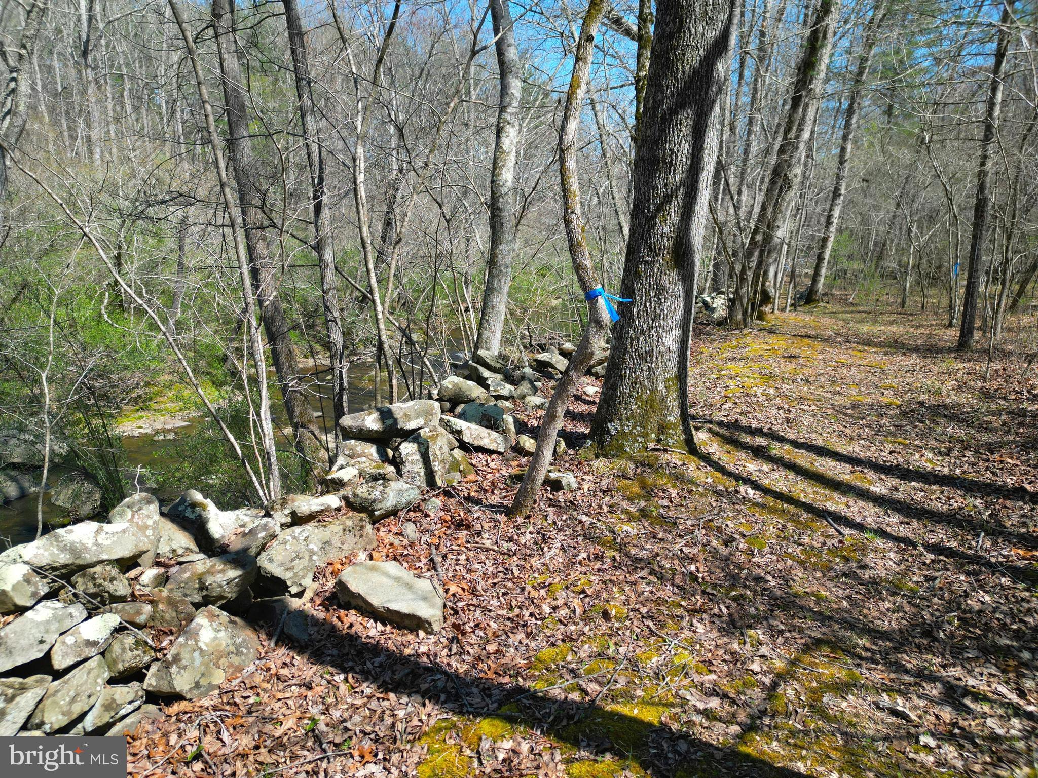 59 Hunters Road Woodville, VA 22749 - Photo 98 of 103 Looped river trail marked in Blue tape