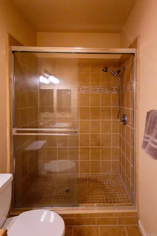 a bathroom with a shower and a toilet