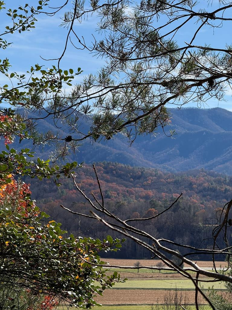 0 Airport Road Andrews, NC 28901 - Photo 1 of 12 Main View