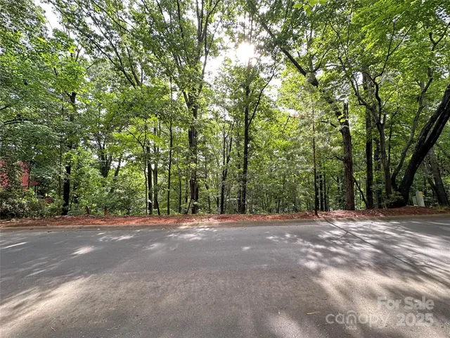 a view of road with trees