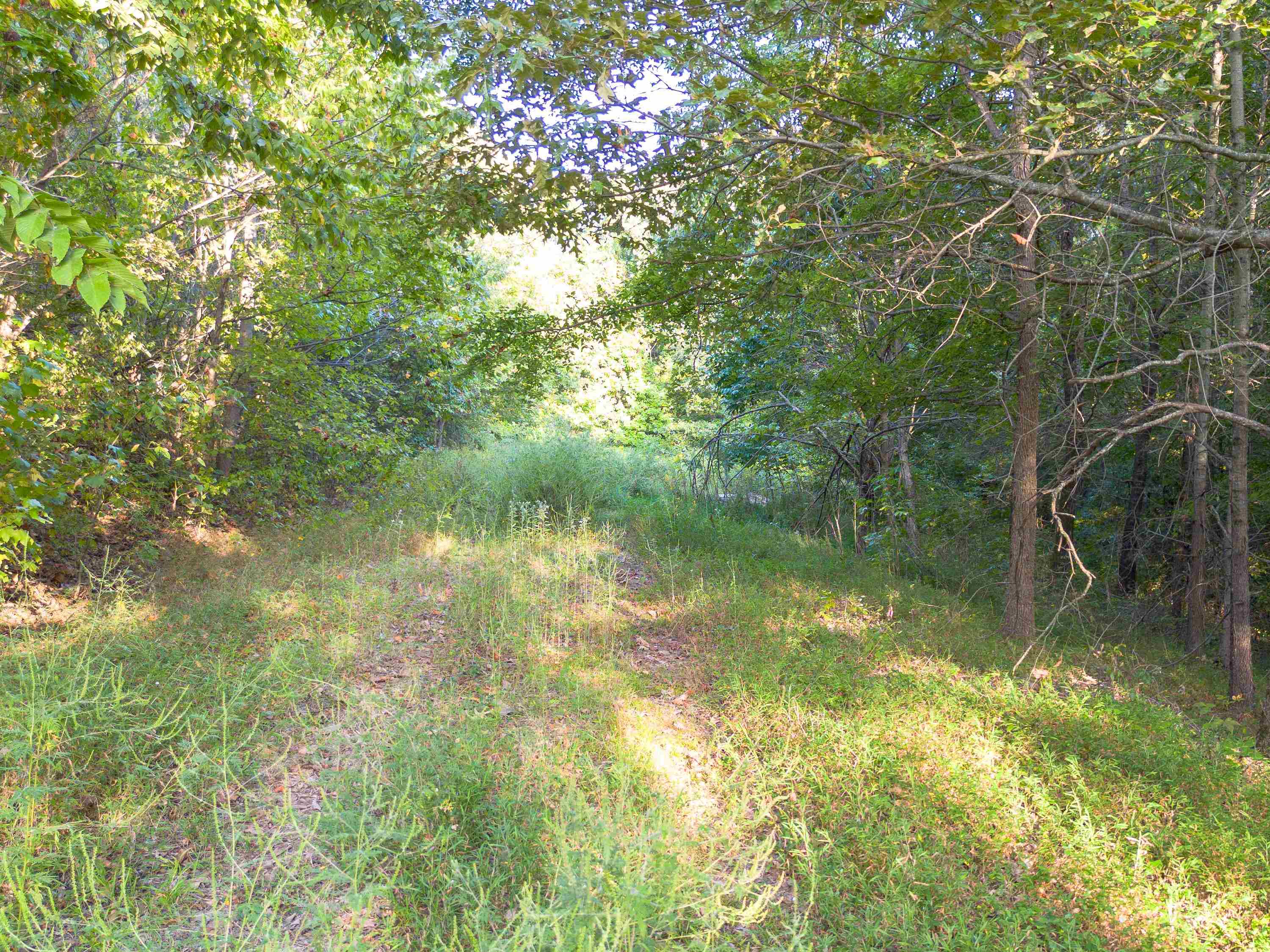 0 Elm Grove Road Burlison, TN 38015 - Photo 3 of 10 a view of lake