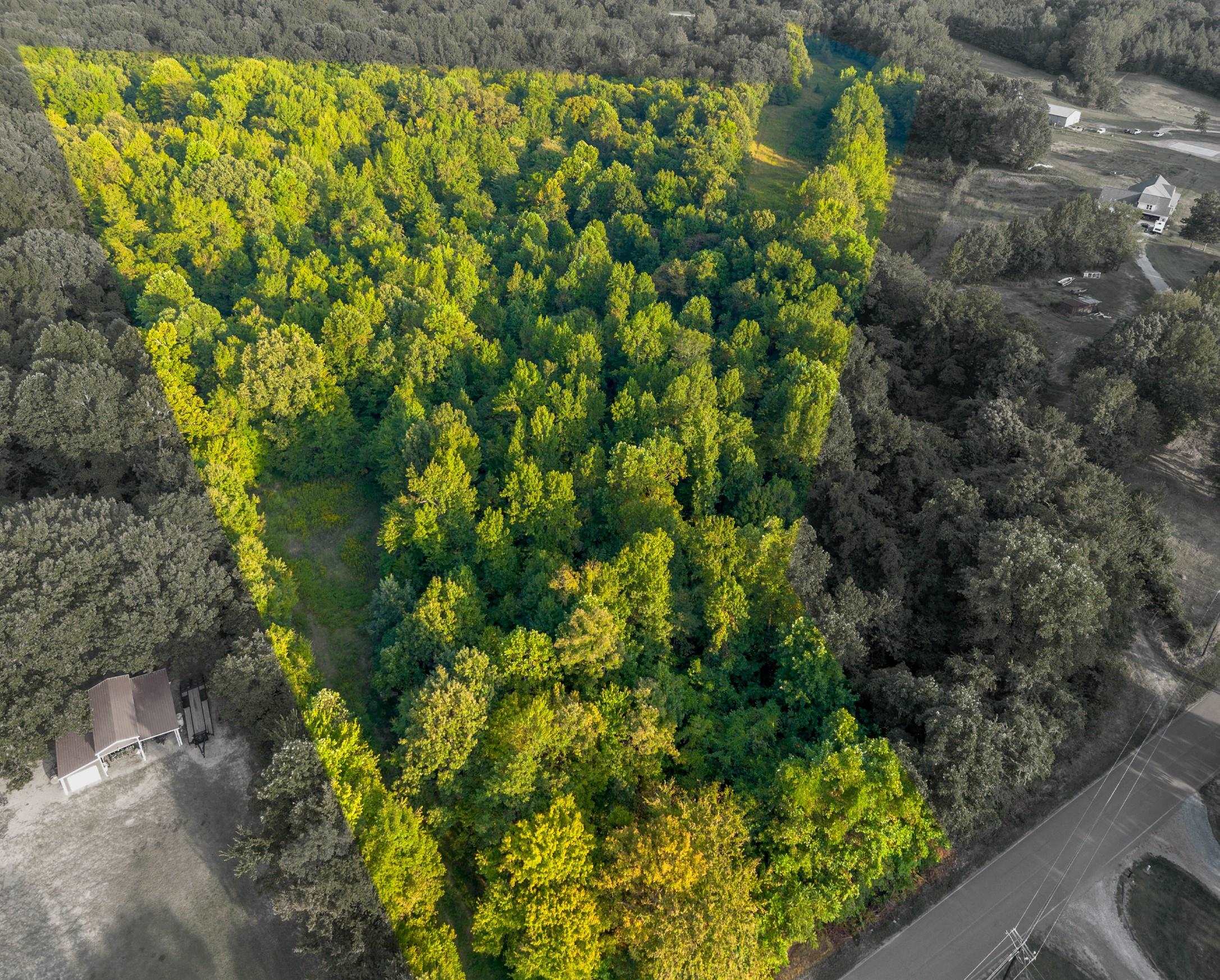 0 Elm Grove Road Burlison, TN 38015 - Photo 3 of 10 a view of a garden