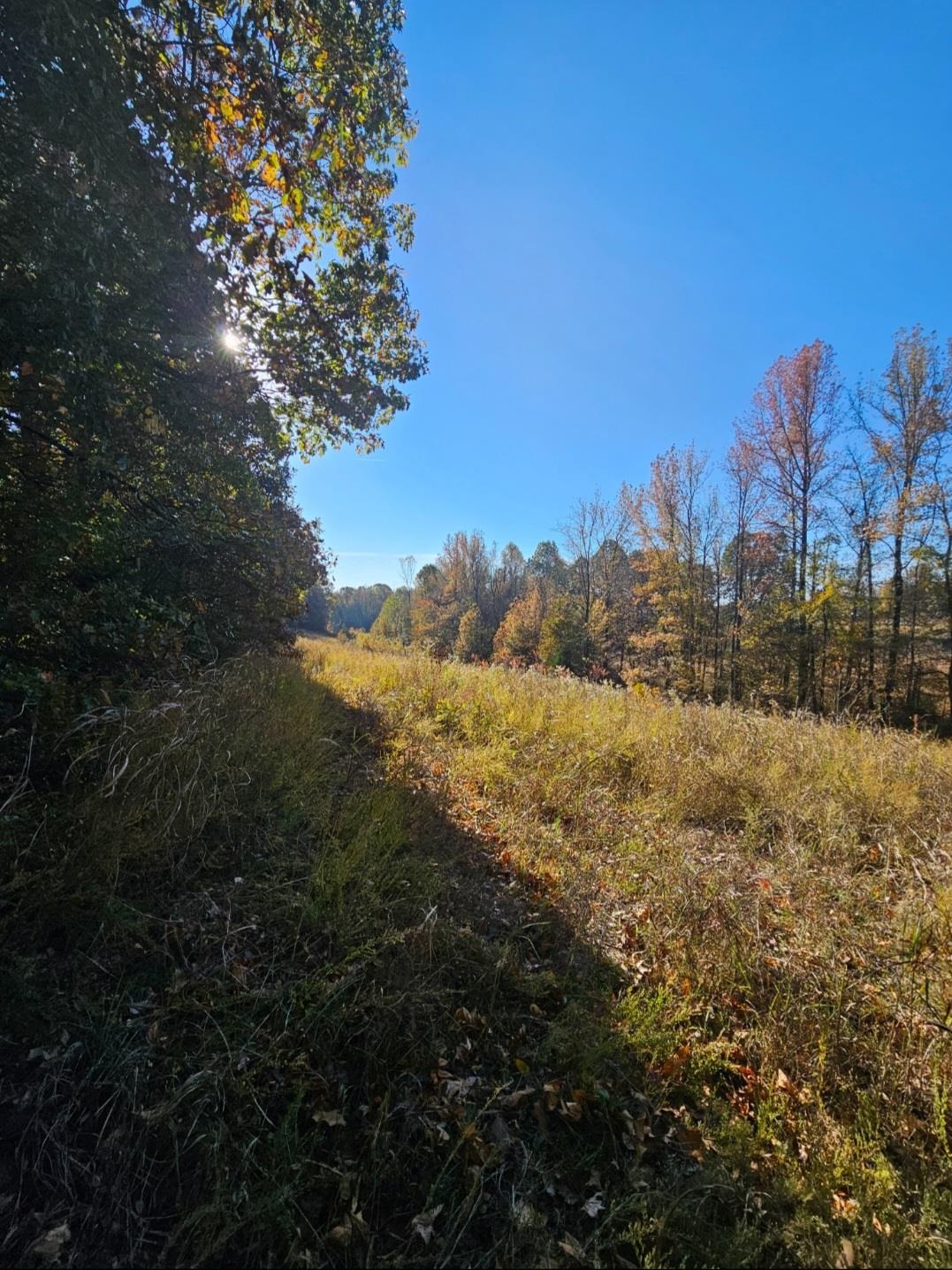 0 Elm Grove Road Burlison, TN 38015 - Photo 7 of 10 a view of lake with mountain view