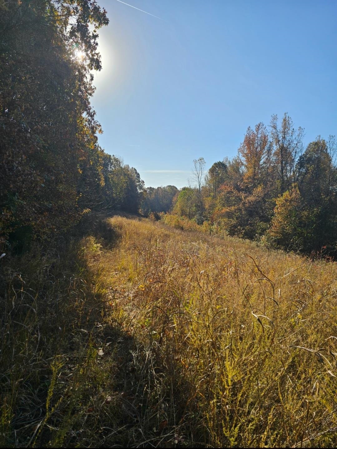 0 Elm Grove Road Burlison, TN 38015 - Photo 10 of 10 a view of ocean