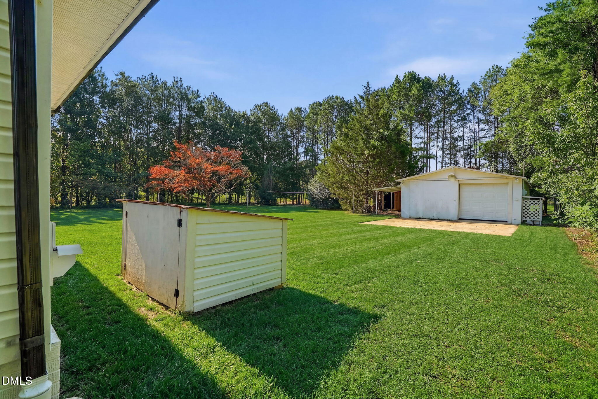 118 Bashford Road Raleigh, NC 27606 - Photo 54 of 63 118 Bashford Road-56 Grass