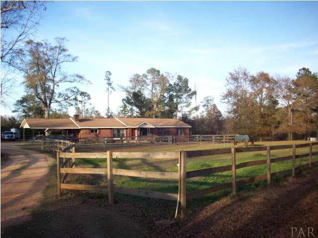 3900 Macks Road Century, FL 32535 - Photo 3 of 24 a view of a wooden deck and a big yard