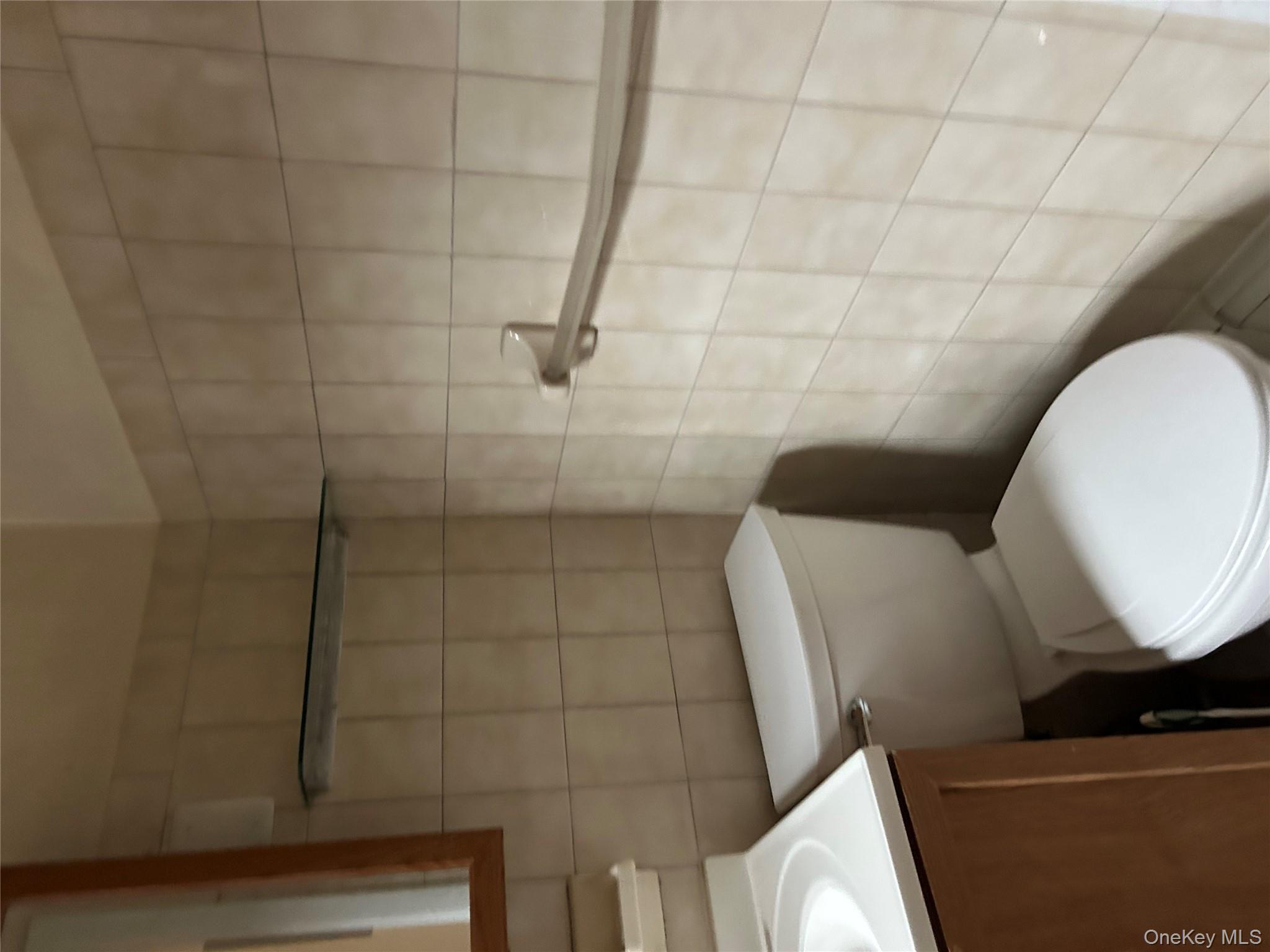 1737 Grove Street Queens, NY 11385 - Photo 3 of 6 a white toilet sitting next to a bathroom sink