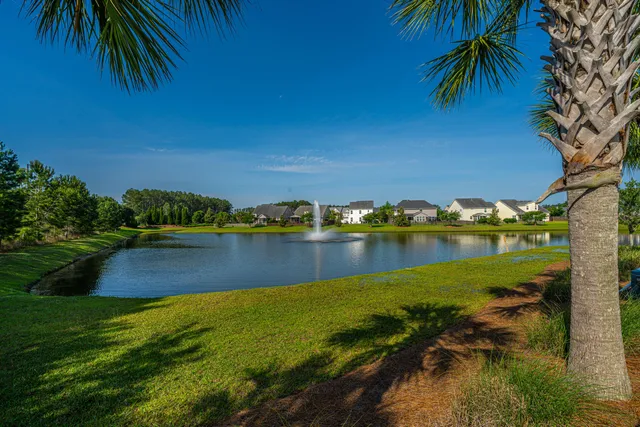 $455,000 | 201 Bigleaf Court, Summerville, SC 29486