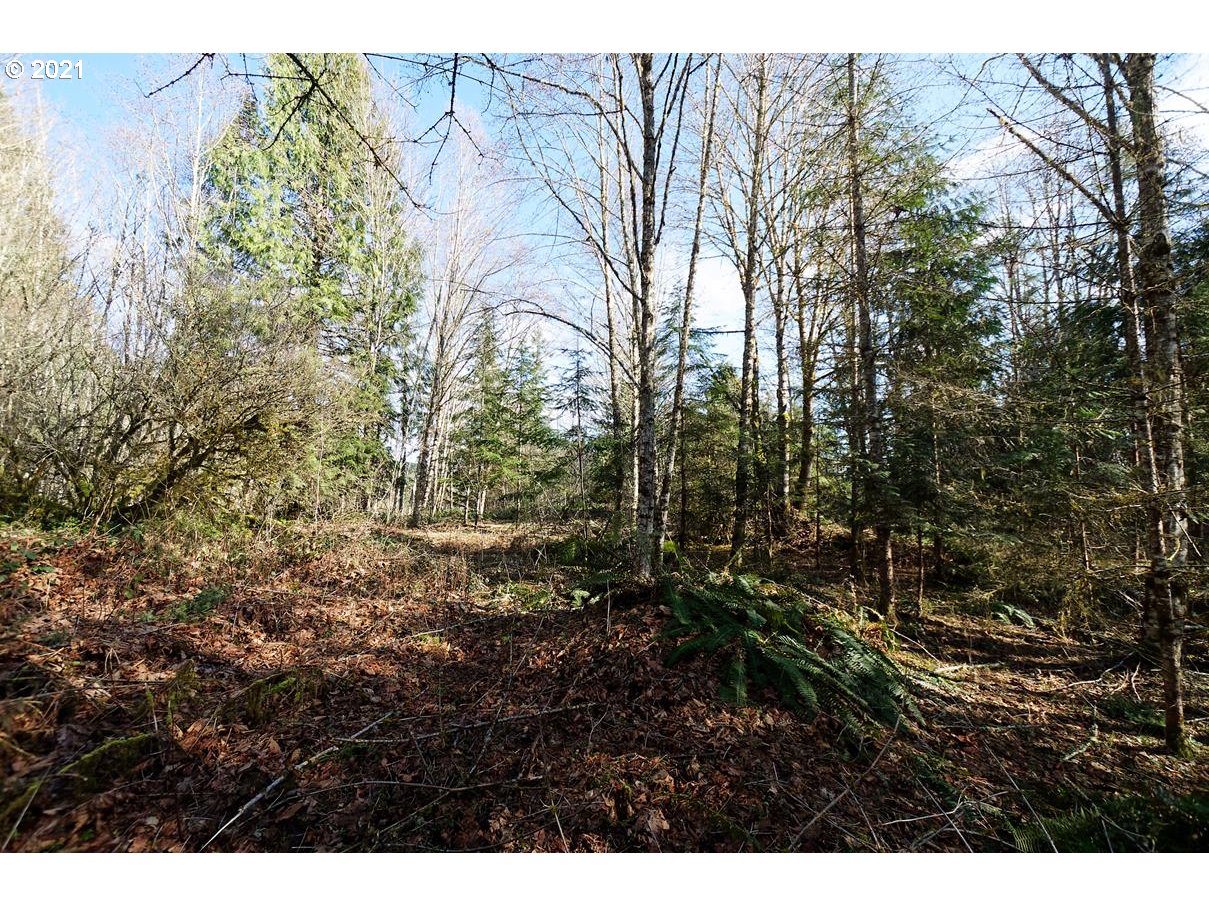 0 New Kirk Road Scappoose, OR 97056 - Photo 11 of 23 Gallery Image 11