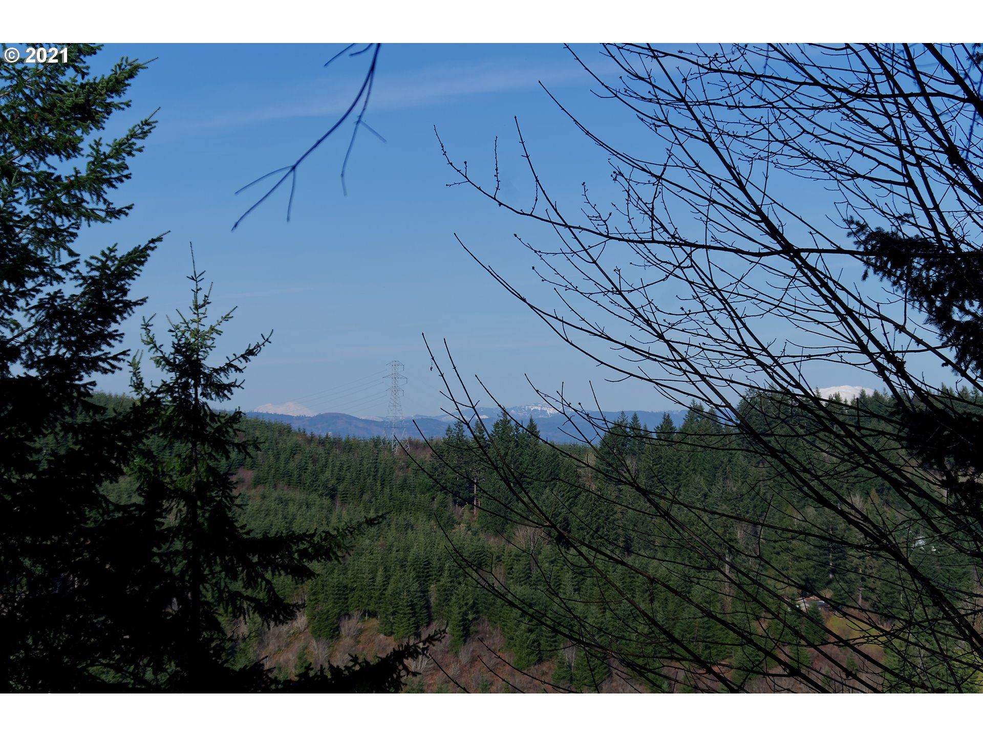 0 New Kirk Road Scappoose, OR 97056 - Photo 17 of 23 Gallery Image 17