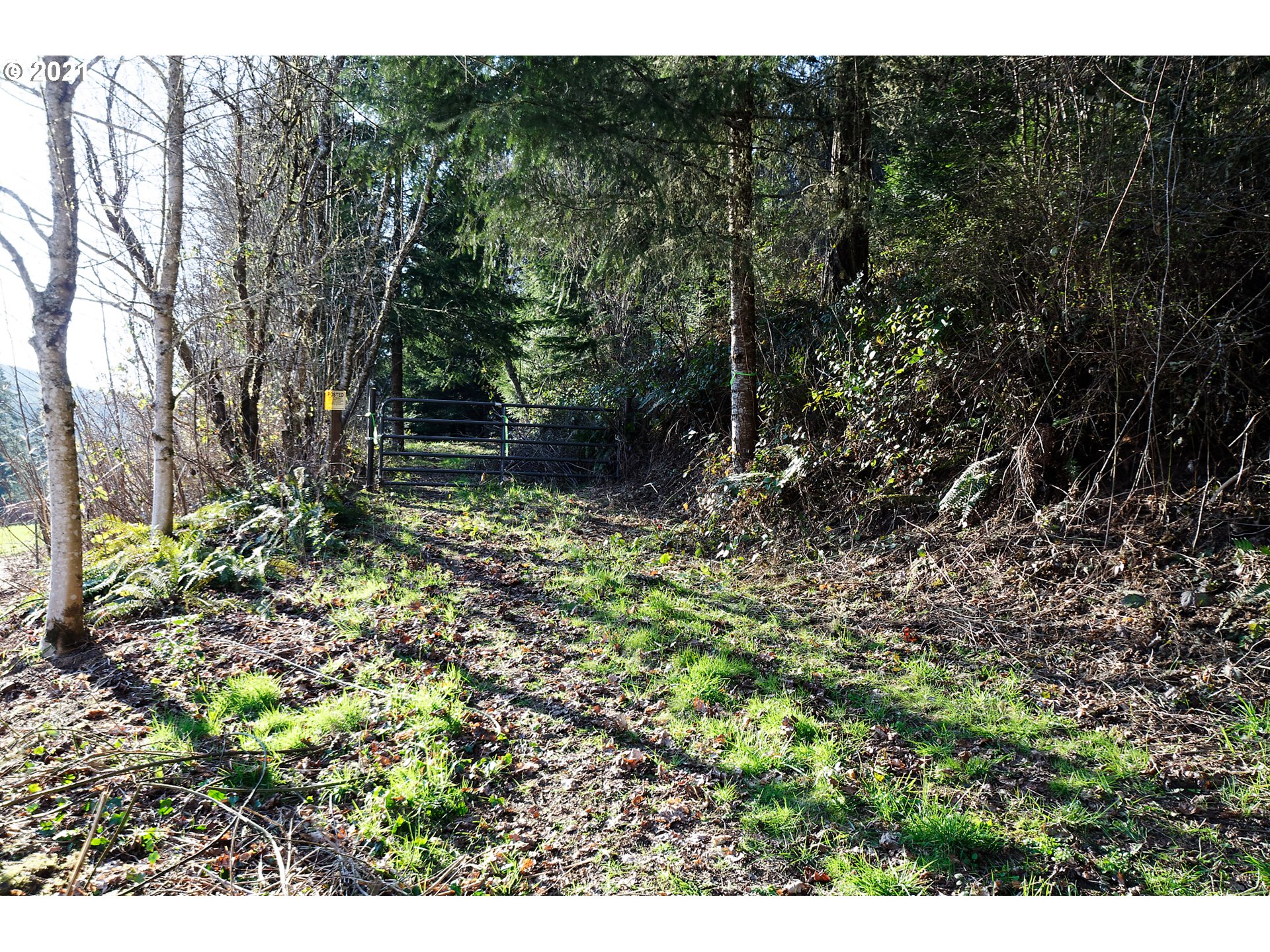 0 New Kirk Road Scappoose, OR 97056 - Photo 19 of 23 Gallery Image 19