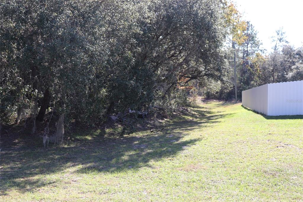 Tbd Southwest 157th Street Ocala, FL 34473 - Photo 2 of 11 a view of a yard with an outdoor space