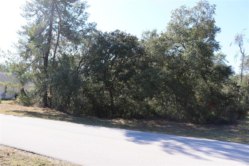 Tbd Southwest 157th Street Ocala, FL 34473 - Photo 3 of 11 a view of a yard with large trees