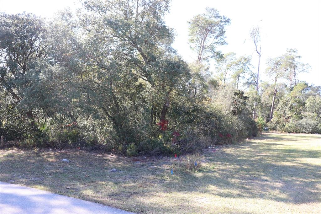 Tbd Southwest 157th Street Ocala, FL 34473 - Photo 4 of 11 a view of a yard with large trees