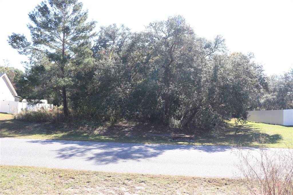 Tbd Southwest 157th Street Ocala, FL 34473 - Photo 8 of 11 a view of a yard with a tree