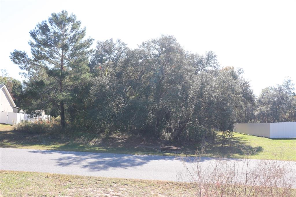 Tbd Southwest 157th Street Ocala, FL 34473 - Photo 9 of 11 a view of a yard with large trees