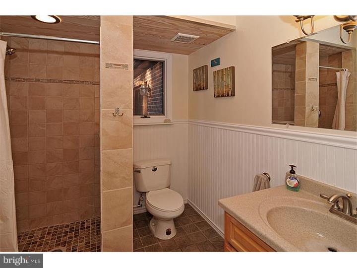 256 Municipal Road Erwinna, PA 18920 - Photo 12 of 25 Bathroom