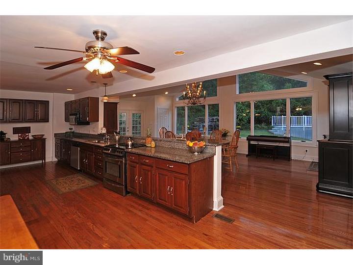 256 Municipal Road Erwinna, PA 18920 - Photo 5 of 25 Kitchen