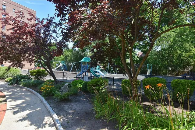 a view of a garden with plants and trees