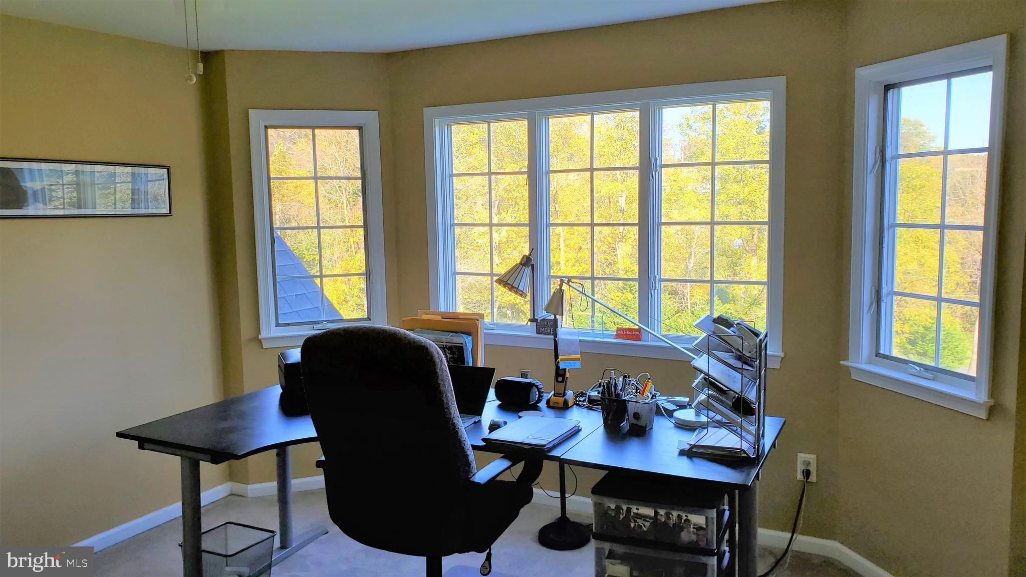 124 Good Hope Road Landenberg, PA 19350 - Photo 31 of 41 Fabulous view out the Front Windows