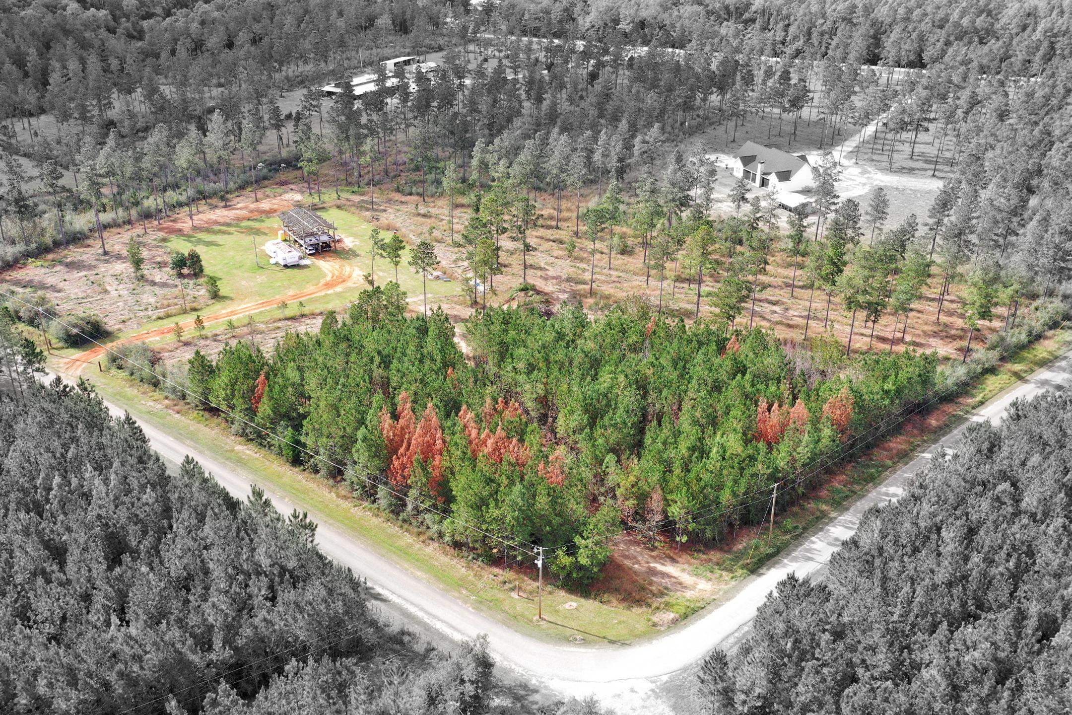 30141 Seed Orch Road Robertsdale, AL 36567 - Photo 9 of 11 Aerial View