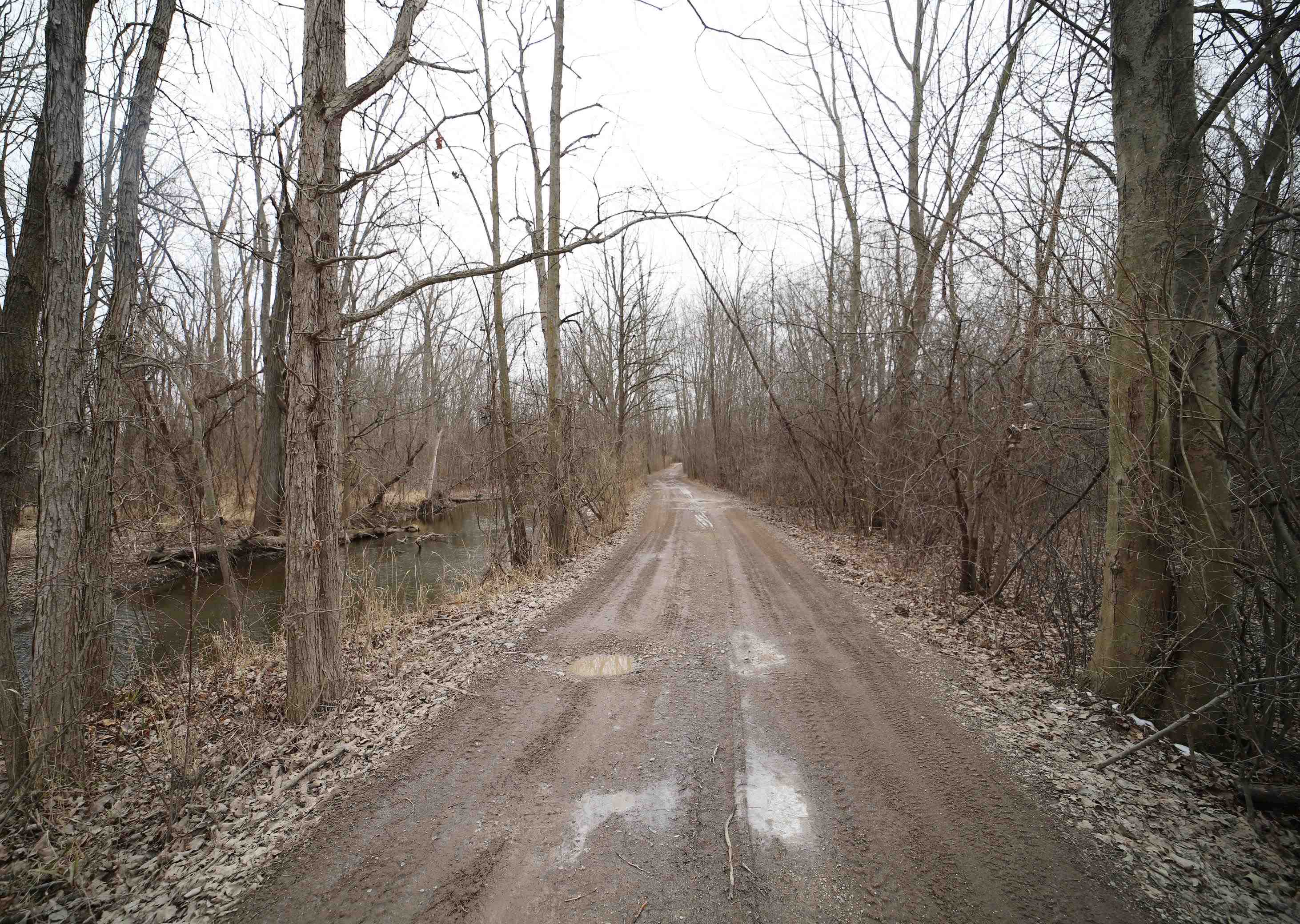 2315 West Reid Road Grand Blanc, MI 48439 - Photo 41 of 60 Gallery Image 41