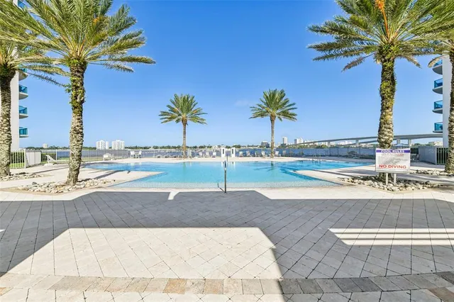 a view of a backyard with palm trees