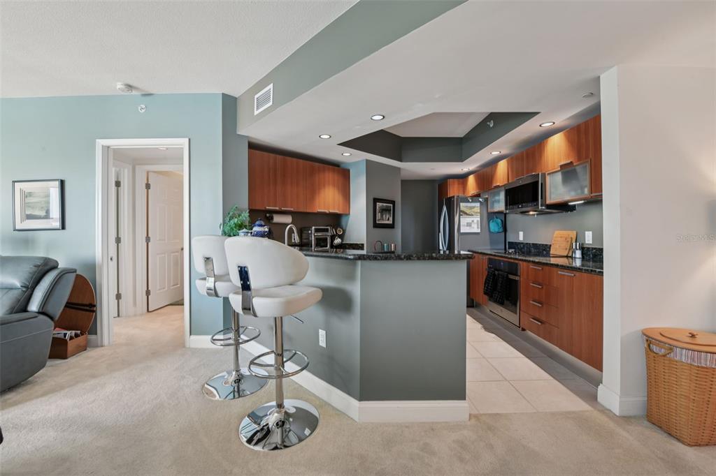 241 Riverside Drive, Unit 305 Daytona Beach, FL 32117 - Photo 7 of 35 a living room with furniture a flat screen tv and kitchen view