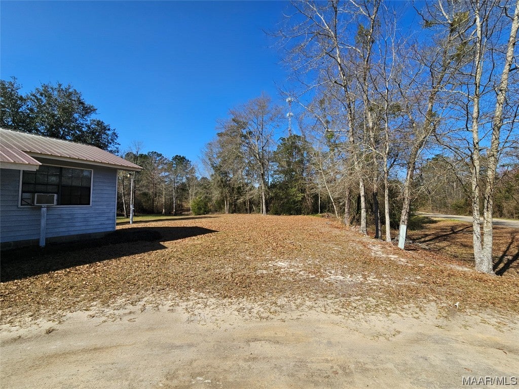3050 Pansey Road Ashford, AL 36312 - Photo 4 of 16 Gallery Image 4