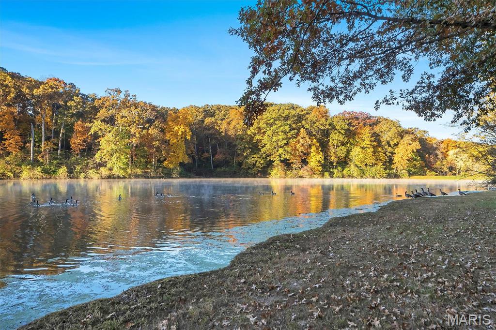 16480 Walnut Rail Road Chesterfield, MO 63005 - Photo 57 of 63